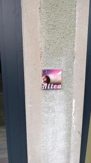 Altea - Lago di Como nuovo accogliente mini appartamento vicino alla spiaggia e giardino - 9