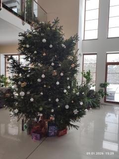 Villa Homestay Nad Helmrovkou - 5