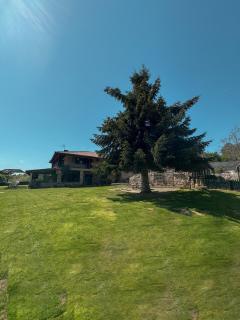 Aldea Figueiredo - 1