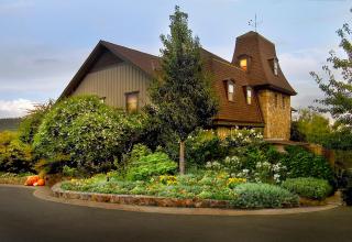 Le Petit Pali St Helena - 9