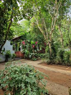 Forest Villa Nature Resort - 3