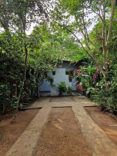 Forest Villa Nature Resort - 4