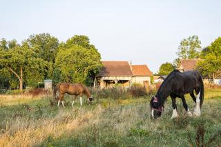 Country house 1 hour from Paris - 9