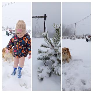 Etno kuća Ostrvica - 8