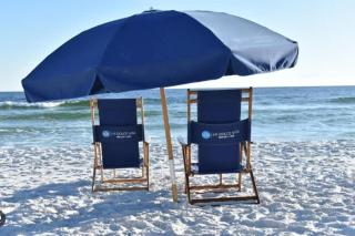 Gray Whale - Destin - 6