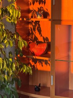 Chambre dhotes vue jardin coucher de soleil a la campagne - 5