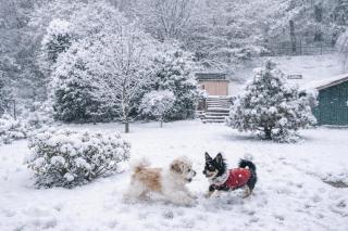 Ruhige Winterwohnung Innenhof mit Parkplatz Hunde willkommen in Bad Muskau Nähe Schloss, Waldeisenbahn, Hermansbad, UNESCO Geopark, Nähe polnischer Markt, Top Lage für Ausflugsziele zum Wandern oder Radfahren - 0
