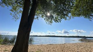 Gold Pearl Zegrze - 7