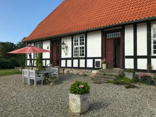 Historic Manor House At Gelskov Estate - 0