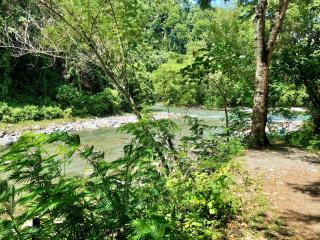 beach bungalo apartment wifi - 4