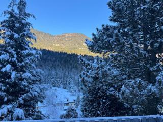 Urlaub mit Bergblick - Ferienhaus in Bad Bleiberg - 1