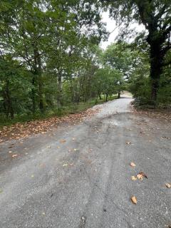 Ozark A-Frame-Black Gum Getaway - 5