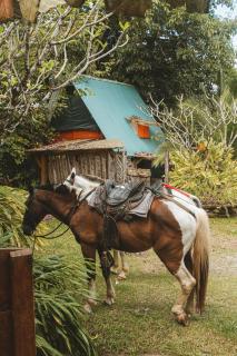 Open spacious house with stunning Peninsula view - 2