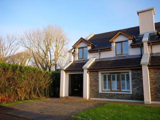 The Snug at Dingle - 7