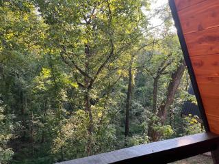 Ozark Retreat-White Oak Haven - 3