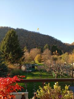 Les Ecureuils - 1