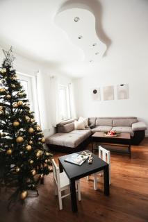 NEU im Harz, Das Haus am Wald mit privater Sauna, frisch renoviert - 8