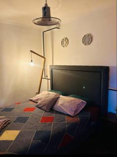 Floresta Providencia William Noon - 4