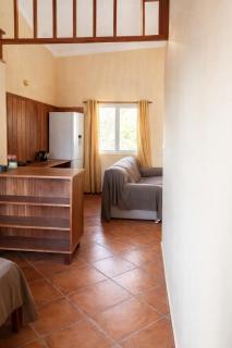 Maio Sweet Tartaruga - 6