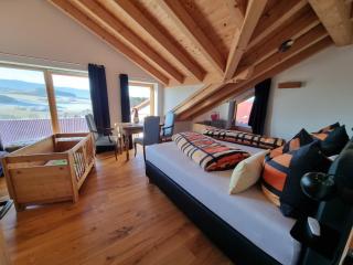 Chalet Hoamad im Bayerischen Wald - 5