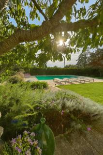 Charming Trullo with Private Pool and Spa - Trullo Amarcord - Selva di Fasano - 1