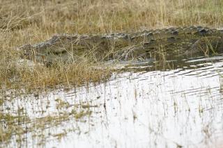 Gal Oya Lake Club - 9