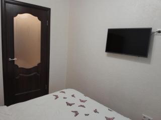 Квартира с 2-мя СПАЛЬНЯМИ, ЦЕНТР Проспект Центральный-3-я Слободская - 3