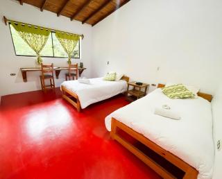 Las Tangaras Reserve - 3