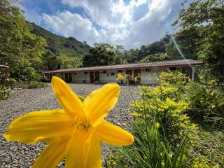 Las Tangaras Reserve - 2