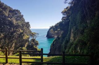 El Jardín de Casa Male - 8