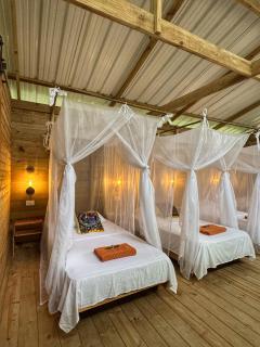 Madre Selva Eco Lodge - 1