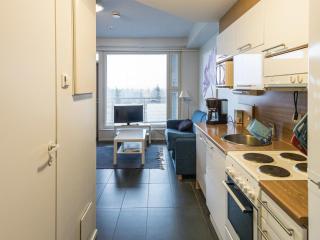 Holiday Home Hiihtäjäntie 1 as 3 by Interhome - 2