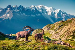 Chamonix Sud - Rivière 401 - Happy Rentals - 2