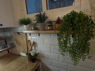 La Curiosa del Casc Antic - Tarragone - 5