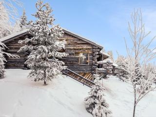 Holiday Home Sallanhelmi c1 by Interhome - 8