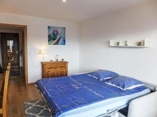 Studio Résidence du Rhône B61 by Interhome - 2