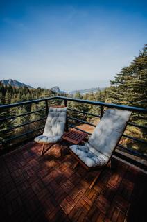 Cedar Scent Guesthouse - 4