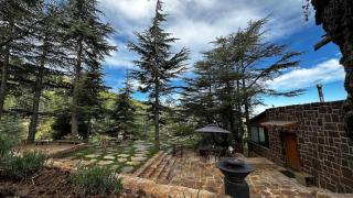 Cedar Scent Guesthouse - 8