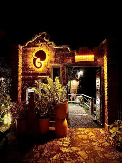 The Elephant Next-Door - 3