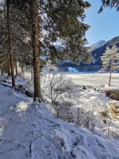 SkiLift Tarvisio Apartment Free Parking - 5