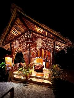 The Elephant Next-Door - 1