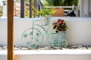 Horse Farm House - 5 Min to the Beach - 2