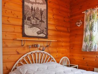 Holiday Home Alppitalo mökki by Interhome - 1