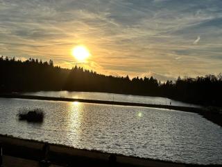 Modern Seeblick Balkon 2 Min zur Gondel - 3