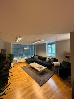 Modern apartment in central Trondheim - Trondheim - 6