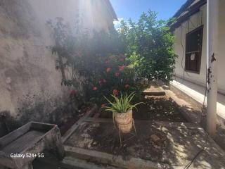 La Casa de la Abuelita - 8