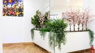 Ilustre Rooms Malaga - 2