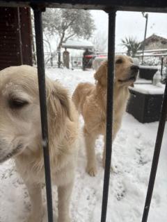 Il Podere di Massi - 3