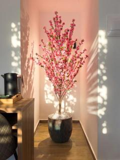 Hotel Casa Kappuccini - By Tritoni Hotels - 4