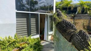 Trinidad Gingerbread House - 1